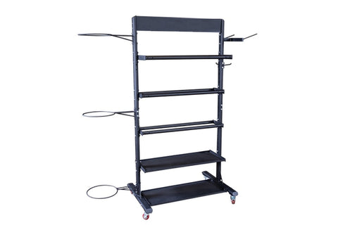 Black multi-tier storage rack holding exercise balls in silver, red, and blue, medicine balls, dumbbells, and kettlebells in 