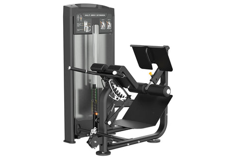 Black and gray commercial multi back extension machine with padded seat and backrest, instruction panel, and weight stack on 