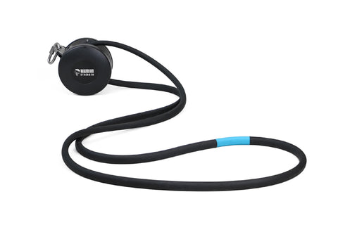Black battle rope with blue accent stripe, metal carabiner attachment, and "Warrior Strength" branding, coiled on white backg