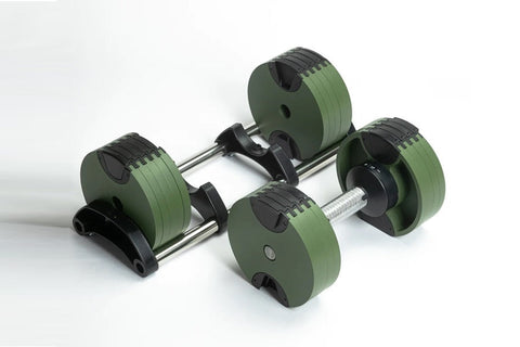 Pair of sage green and black adjustable dumbbells with metal handles on white background, flat lay view