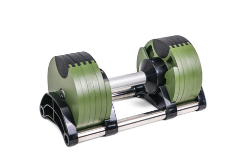 Pair of sage green and black adjustable dumbbells with metal handles on white background, flat lay view