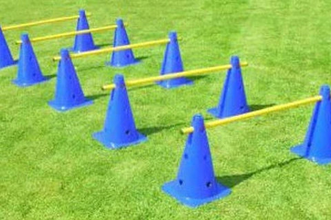 Blue agility cones with yellow hurdle bars on green grass field training setup