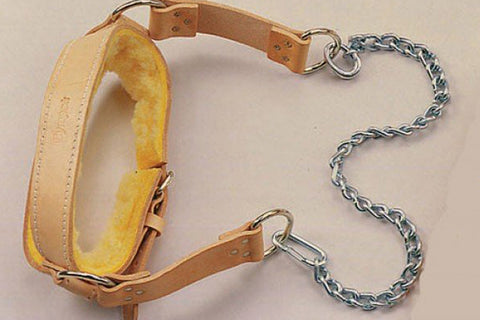 Tan leather head harness with yellow sheepskin padding, metal chain lead, and adjustable buckles on beige background