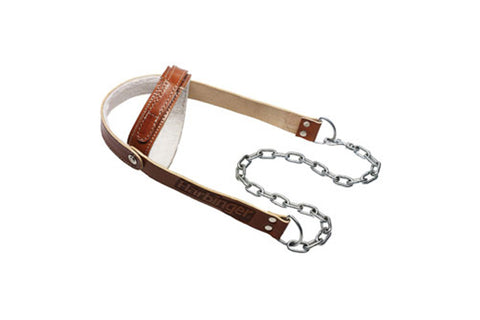Warrior brown leather head harness with metal chain leash and adjustable straps on white background