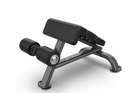 TRUE SF-1010 ab bench with black padded backrest and seat, gray metal frame, and adjustable leg attachment, on white backgrou