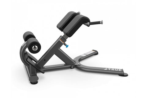 TRUE XFW-5600 Roman bench with gray steel frame, padded back support, and adjustable leg extension on white background