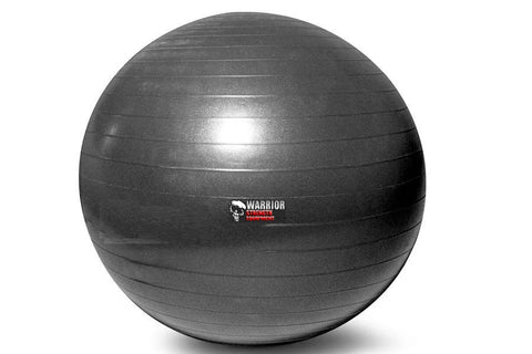 Three black anti-burst exercise balls with Warrior branding, varying sizes, on white background