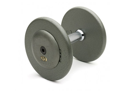 Pair of 20-pound gray cast iron dumbbells with chrome handle on white background